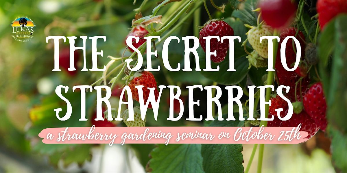 The Secret to Strawberry Gardening by Lukas Nursery in Oviedo