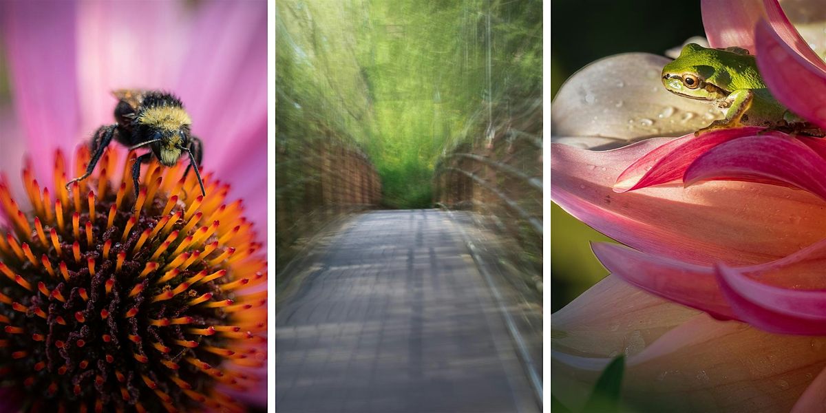 Bellevue's Botanical PhotoWalk - LIVE w\/ Merrill Images