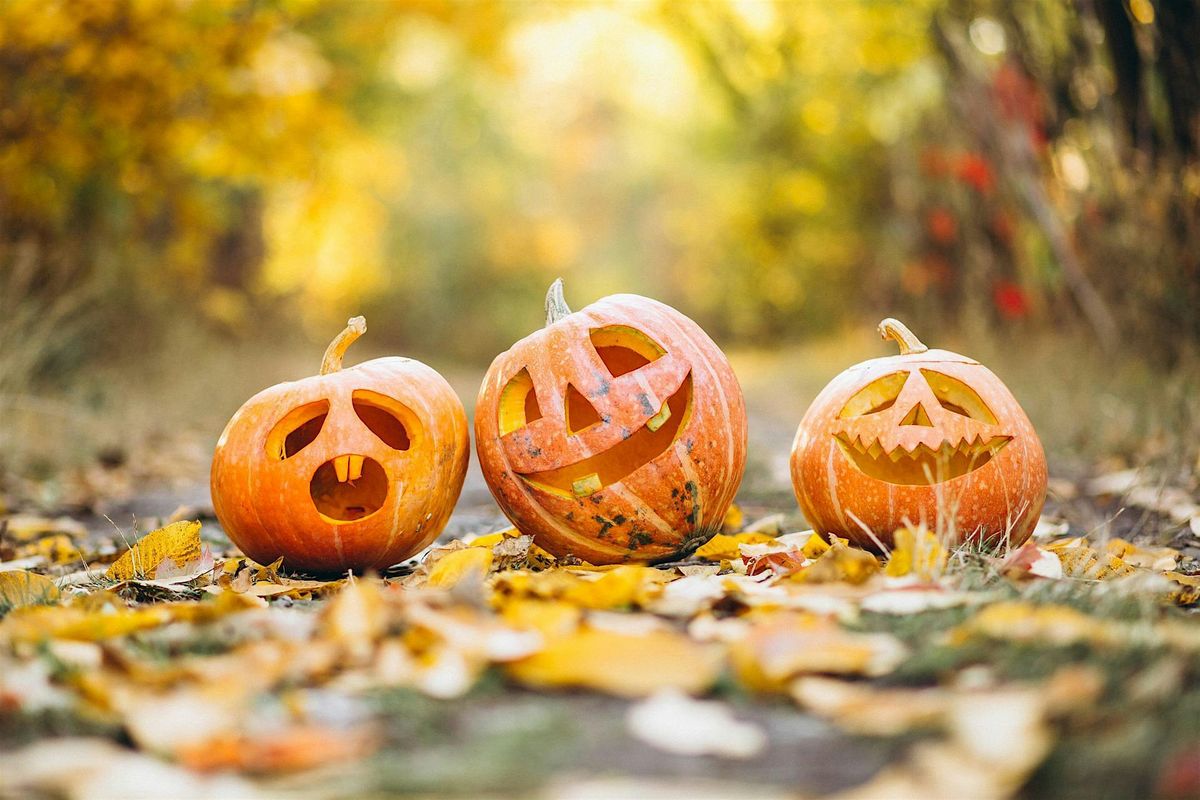WILDFAMILIES Spooktacular at The Wolseley Centre