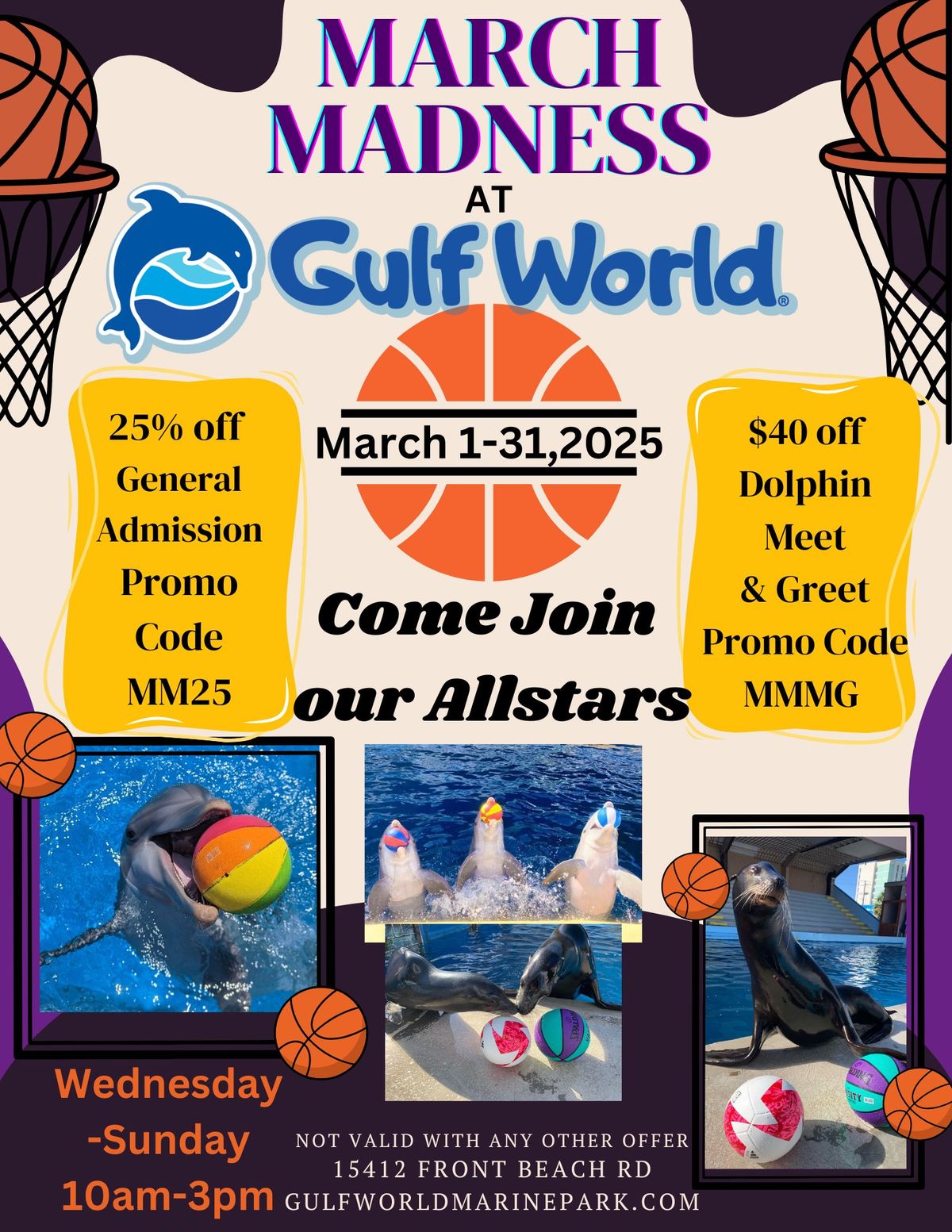 March Madness at Gulf World