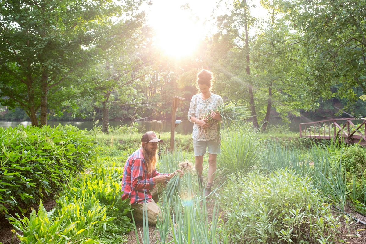 September Garden Volunteer Day