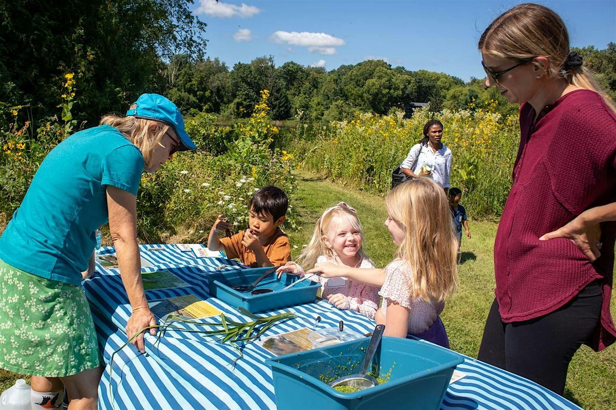 Kids on the Prairie: Apple Picking, Cider Tasting and Seed Collection