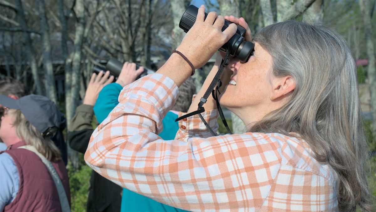 Birding for Beginners