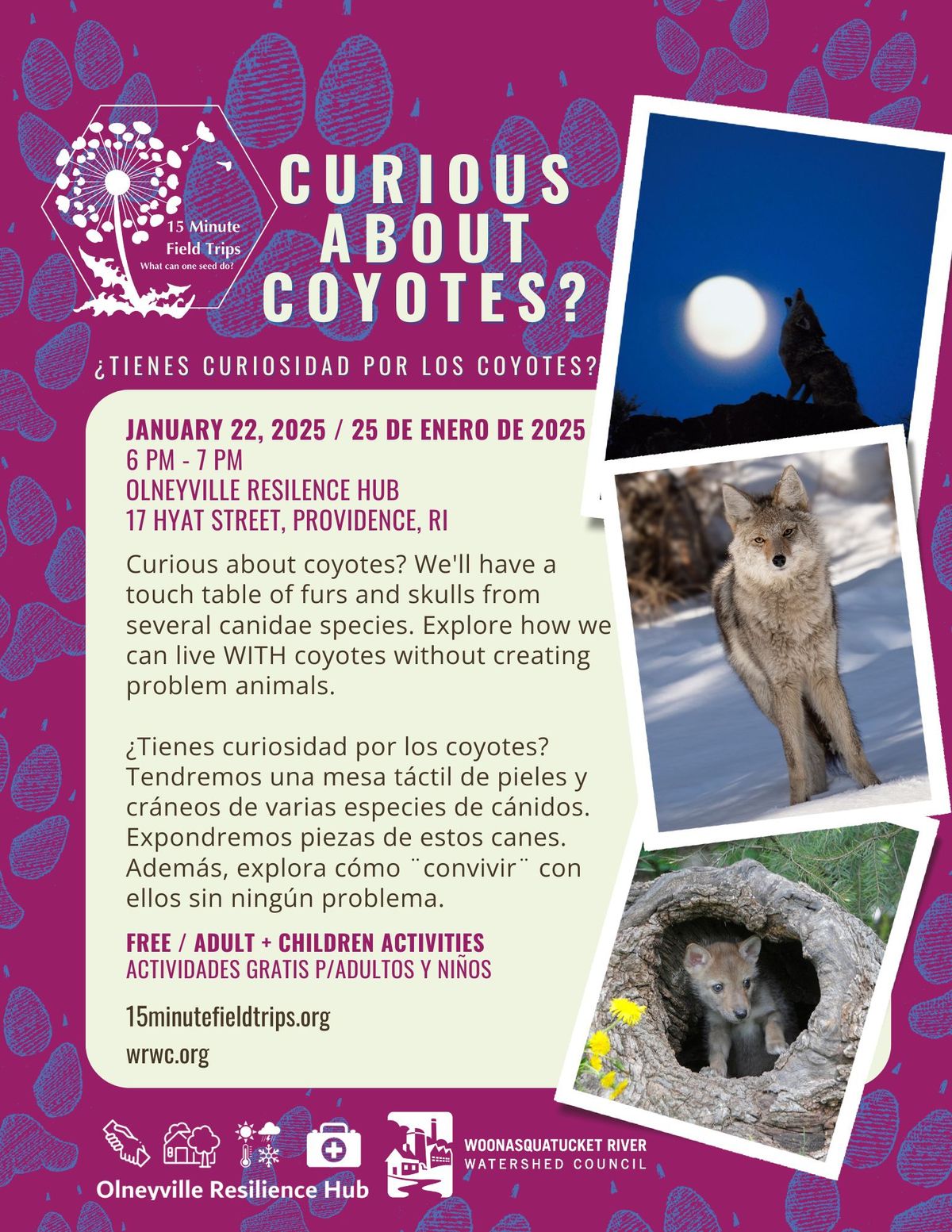 \u201cCurious About Coyotes\u201d Workshop