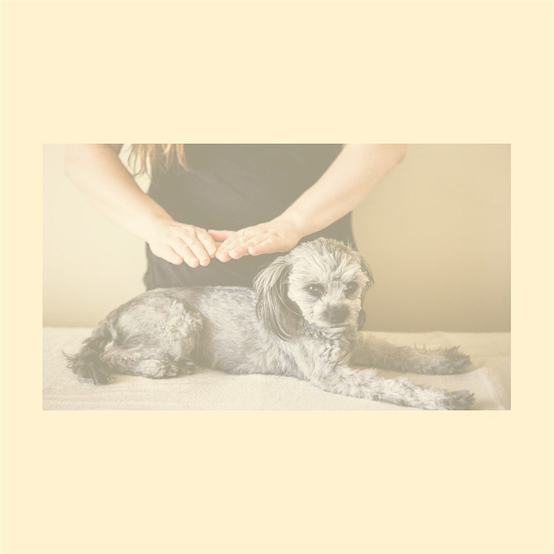 Become an Animal Healing Communicator Certification