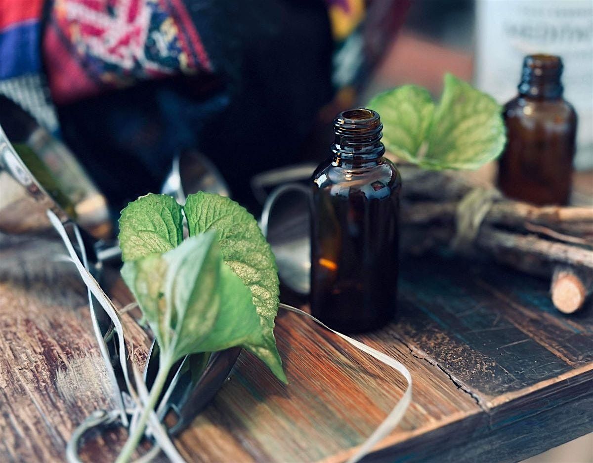 Herbal Class - Learn to Make Medicinal Oils and Take One Home
