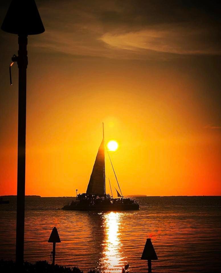 Craft Beer Cellar presents Coastal Karaoke