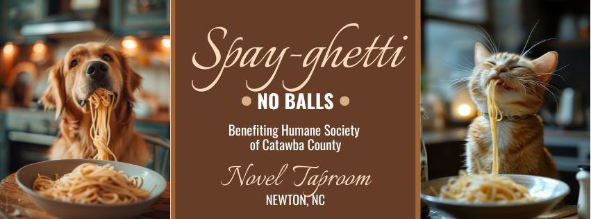 Spay-ghetti - NO BALLS!