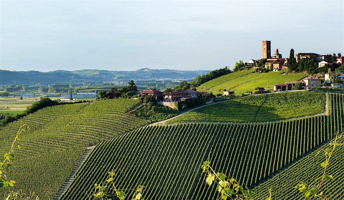 GAJA Wine Dinner - La Griglia
