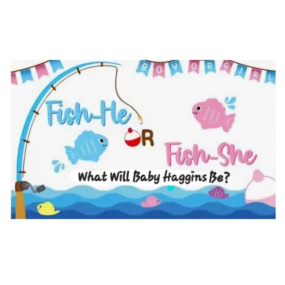 Baby Haggins Gender Reveal