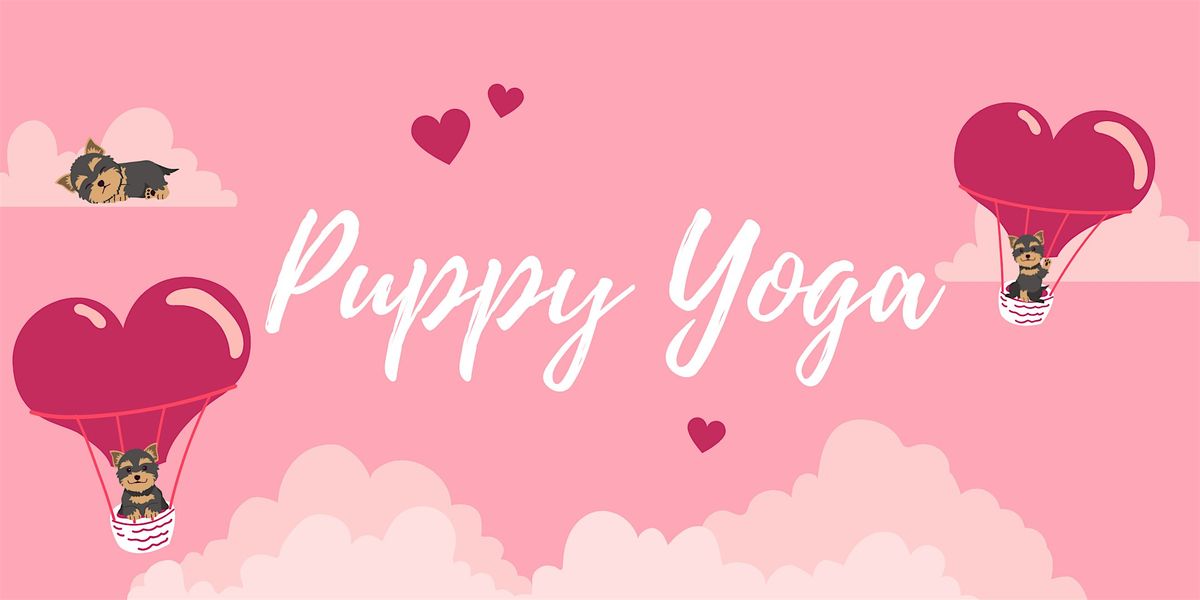 Puppy Yoga with Amrita Yoga and Wellness