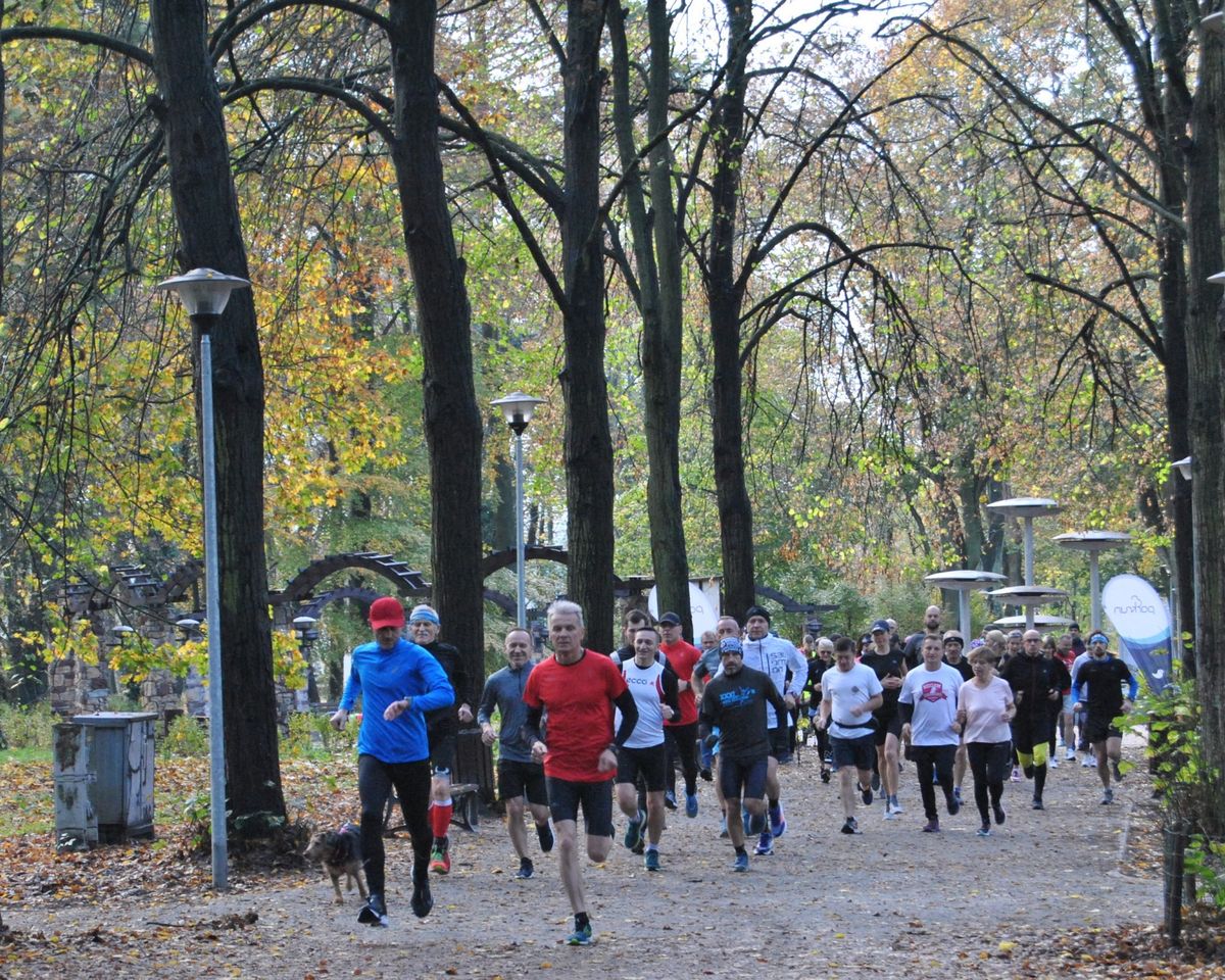 parkrun Gorz\u00f3w Wielkopolski #315