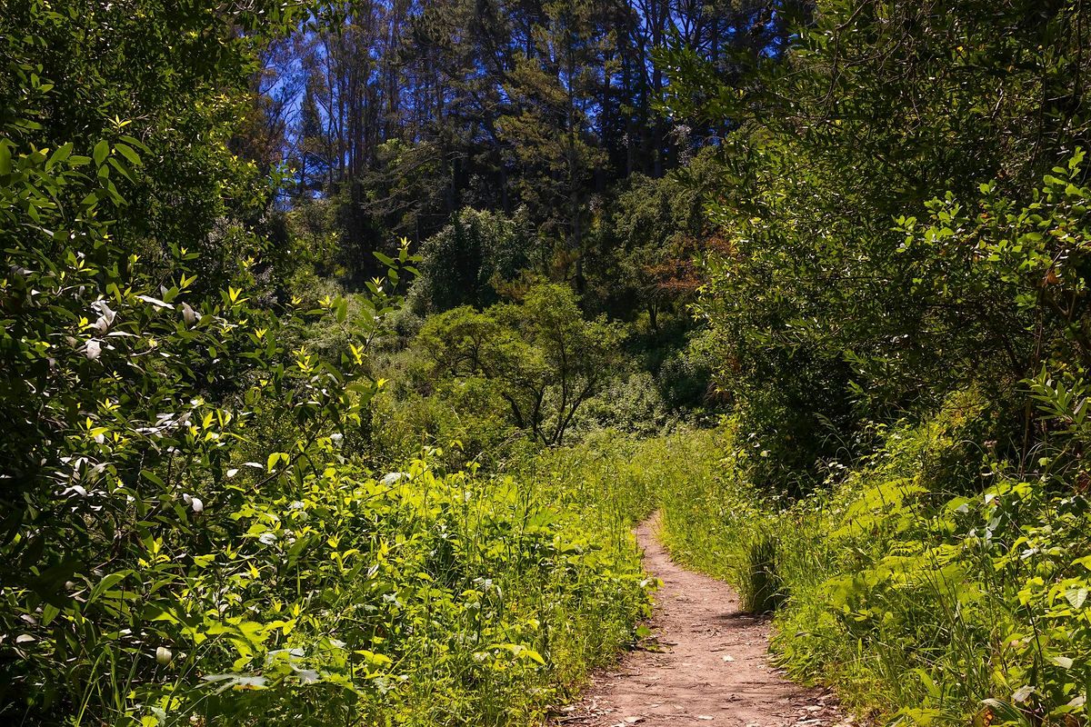 Tilden Park: Jewel Lake to Wildcat Peak