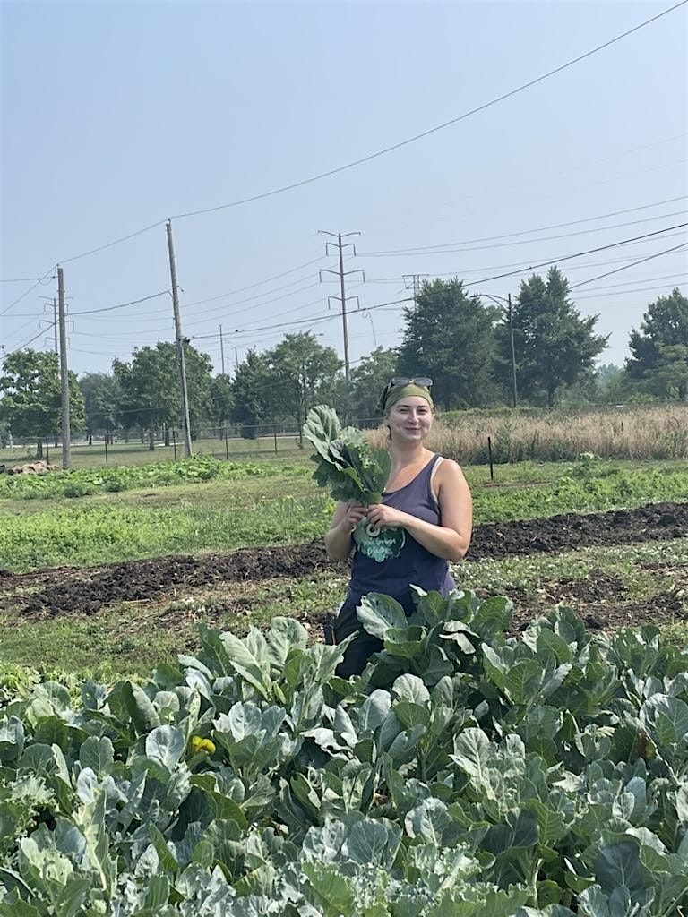Morning Harvest: Session 1
