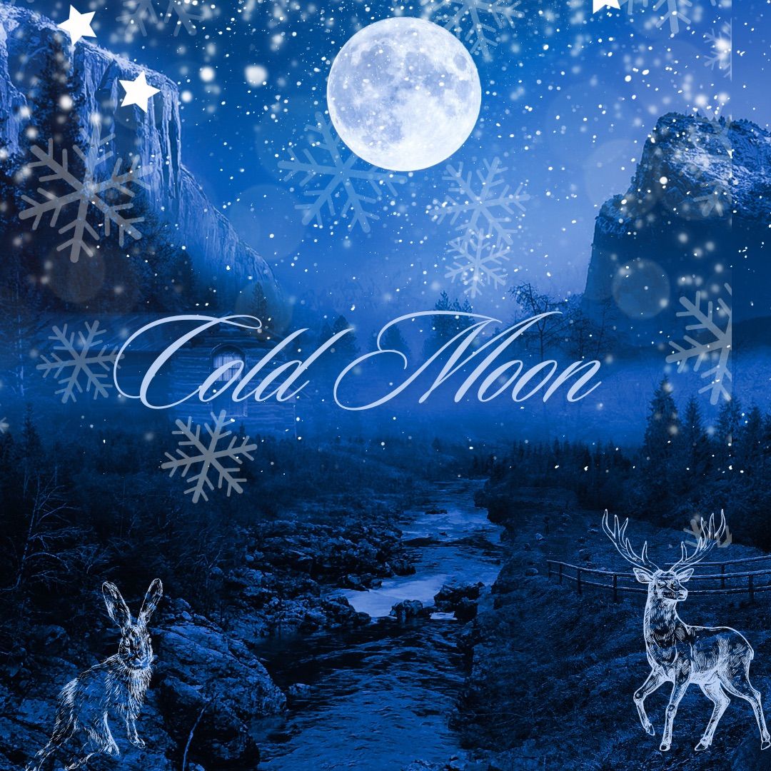 The Cold Moon & Winter Solstice Circle