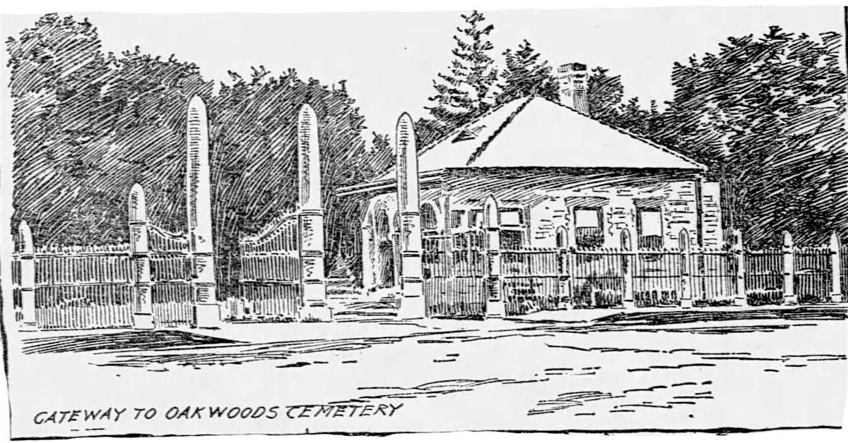 Studying Oak Woods