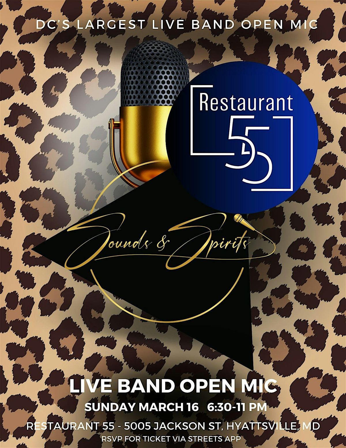 Sounds & Spirits March 2025 - DC's Largest Live Band Open Mic