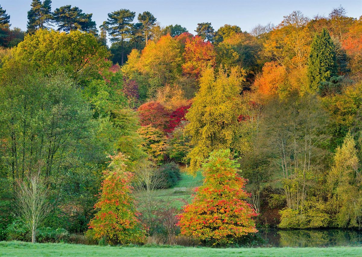 Winkworth (a NT Arboretum), Hydon\u2019s ball summit and Godalming HIKE