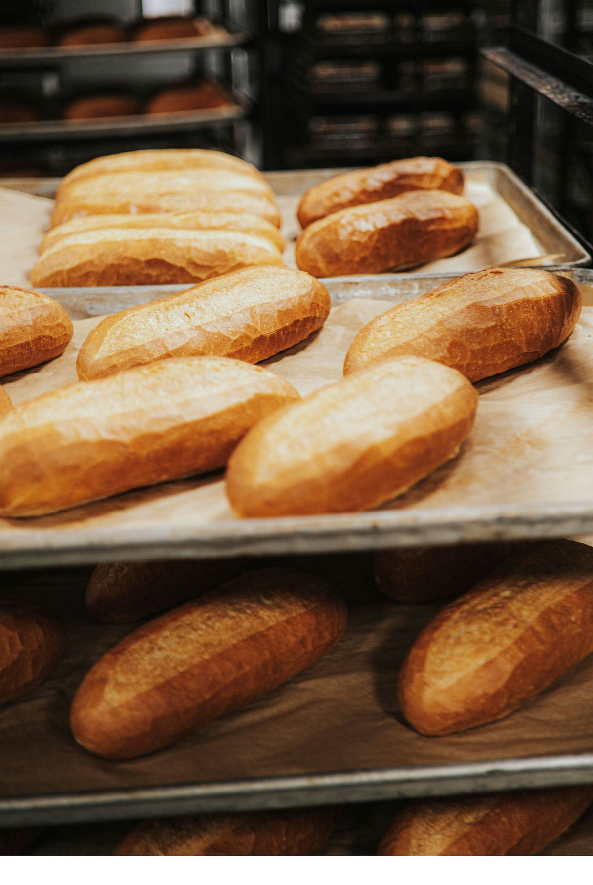 How To Bake Italian Breads