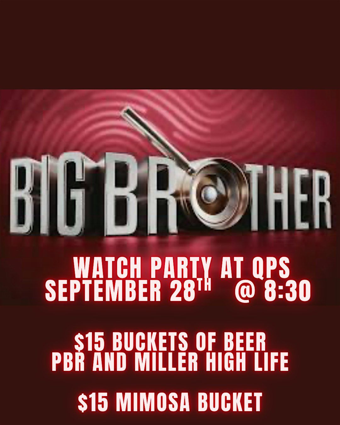 Big Brother Watch Party