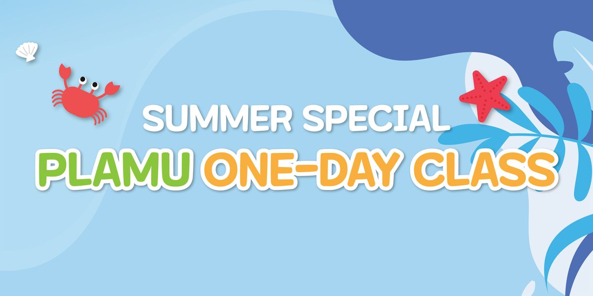 Summer Special Plamu One-Day Class