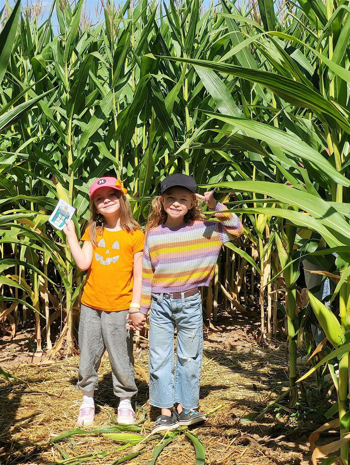 Scout & Home School Day: Fall Fun on the Farm!
