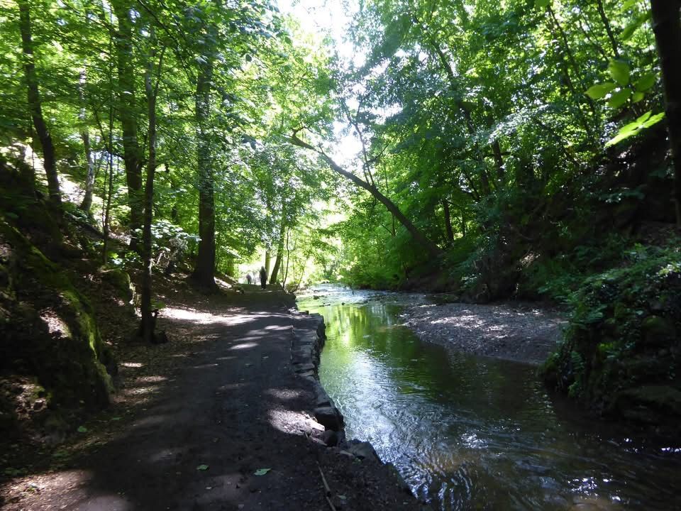 Edinburgh Urban Green walk