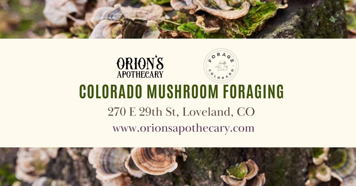 Colorado Mushroom Foraging with Orion Aon