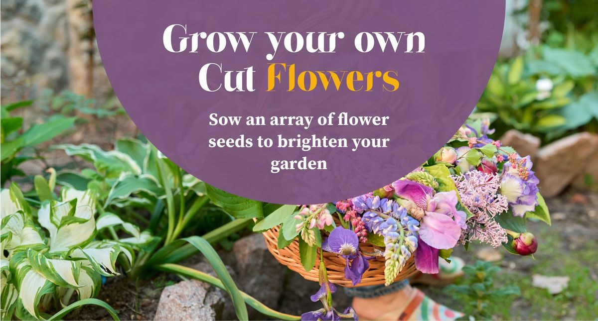 Grow your own Cut Flowers