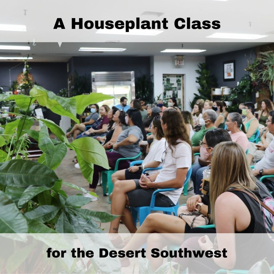 A Houseplant Class for the Desert Southwest