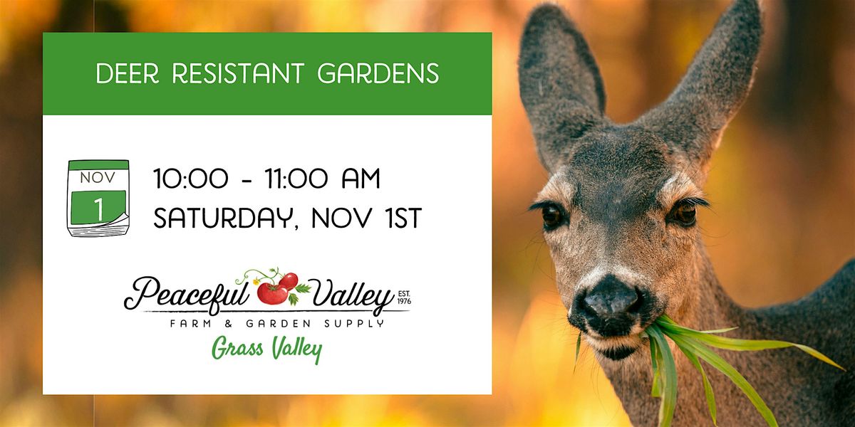 Deer Resistant Gardens