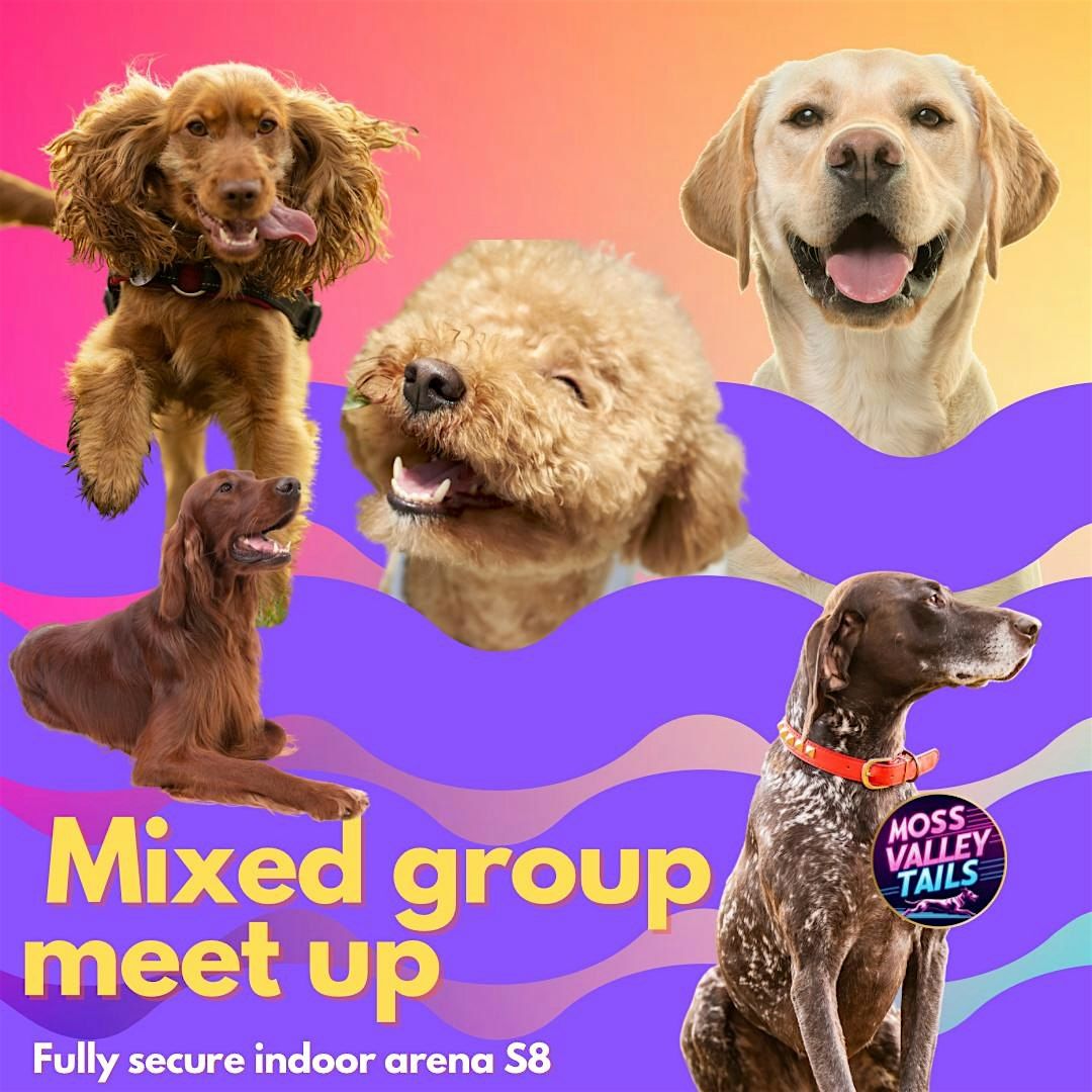 Mixed group social in a secure arena S8