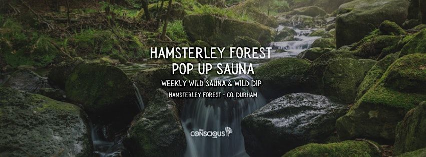 Hamsterley Forest Wild Sauna & Waterfall Swims (2025)