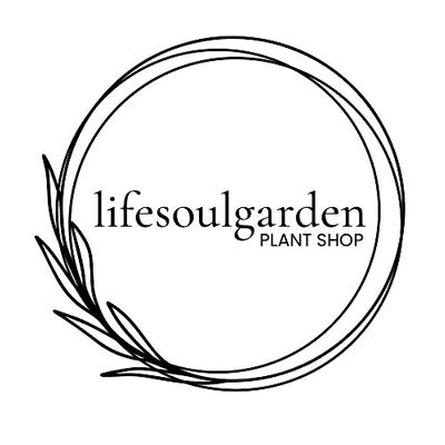 lifesoulgarden plant shop