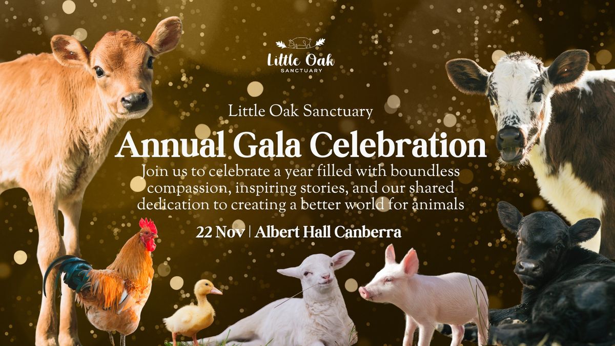 Annual Gala Celebration