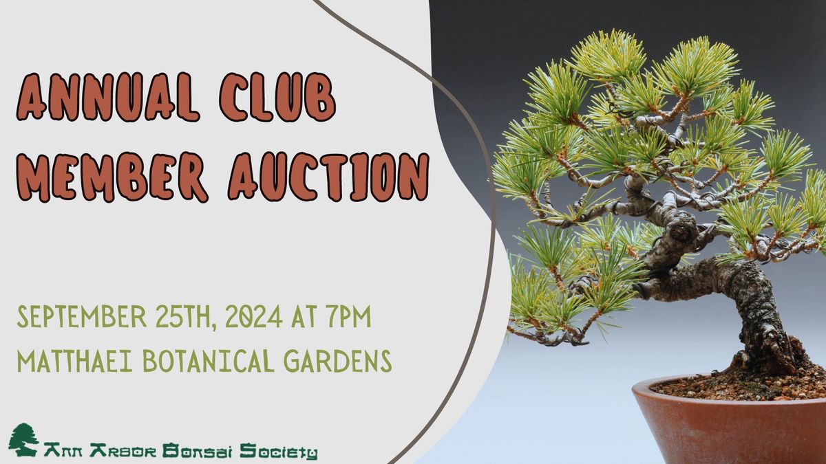 Annual Club Member Auction