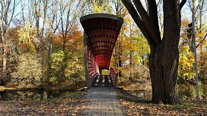 When Men...  Walk & Talk - Nov 2025