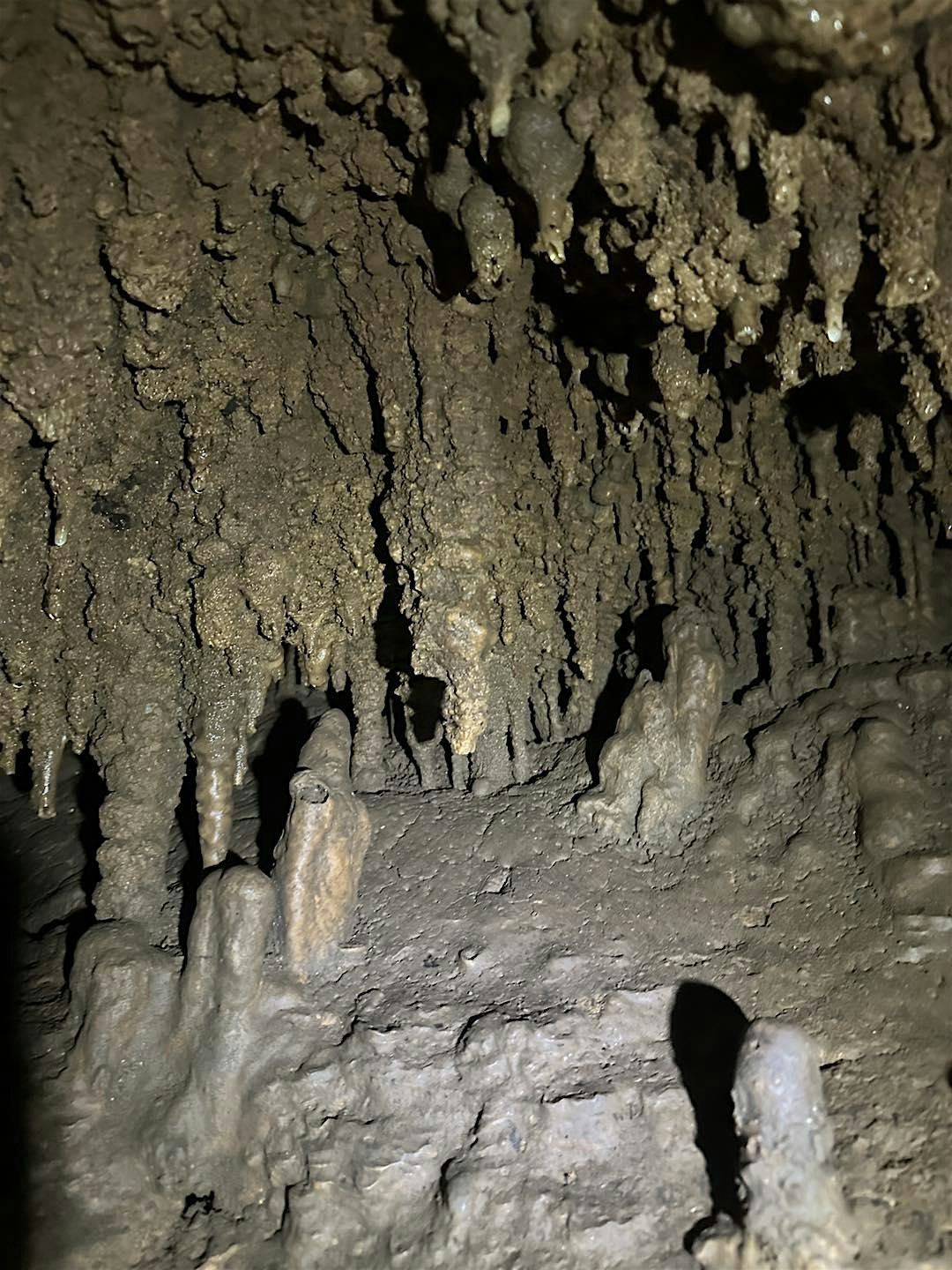 Grassy Cove Cave Open House