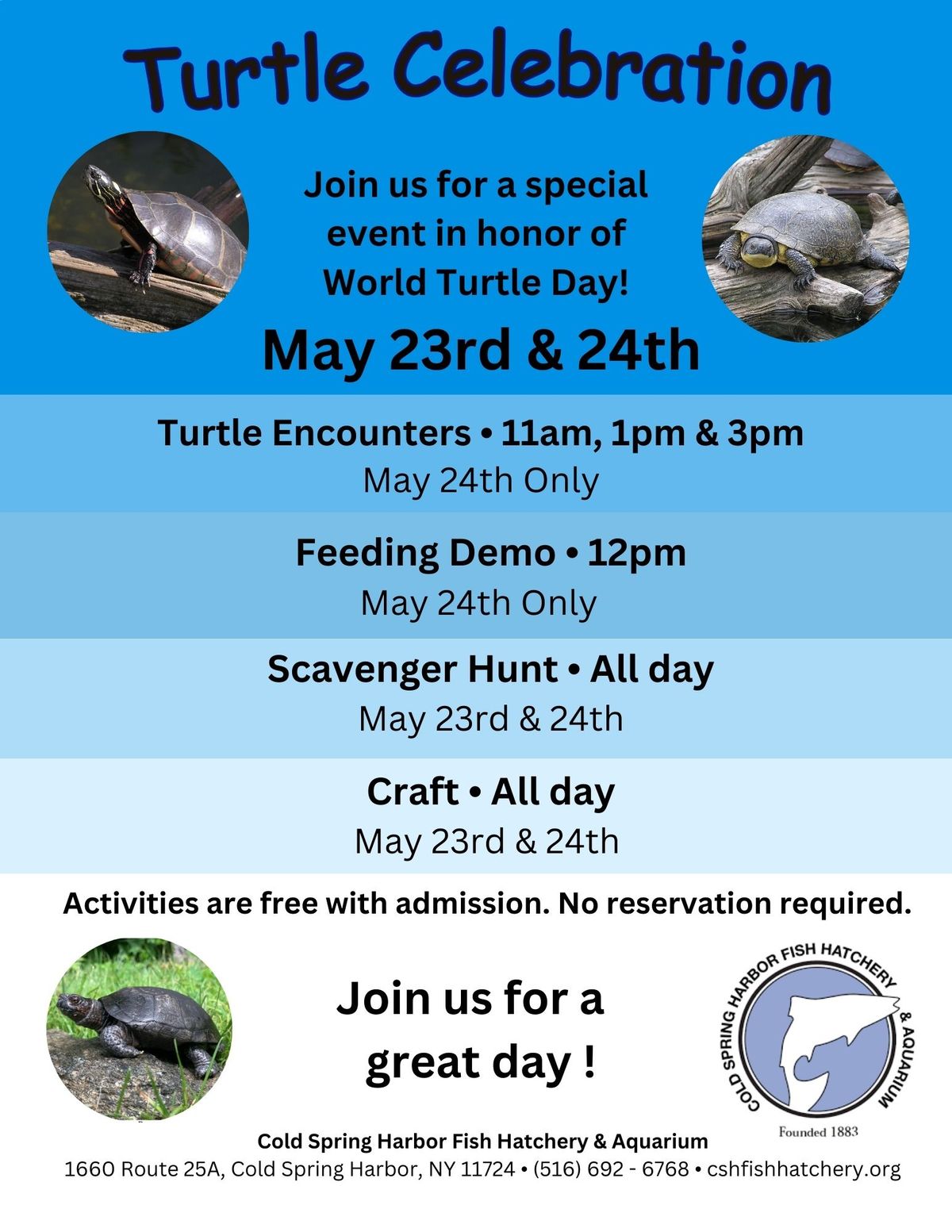 World Turtle Day Celebration