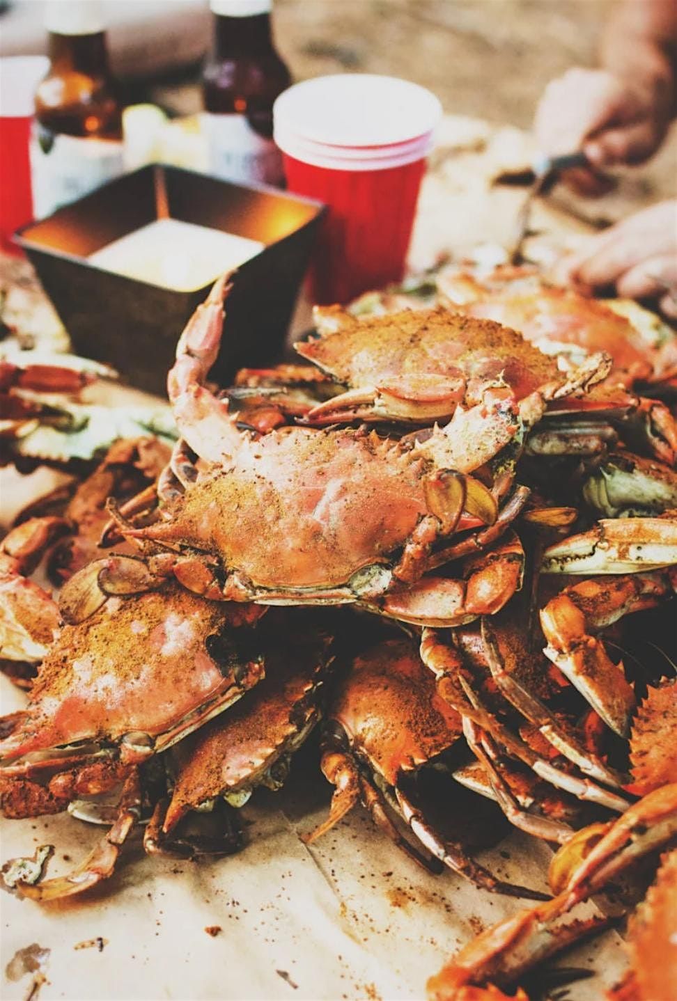 Steak & Seafood Feast 2025