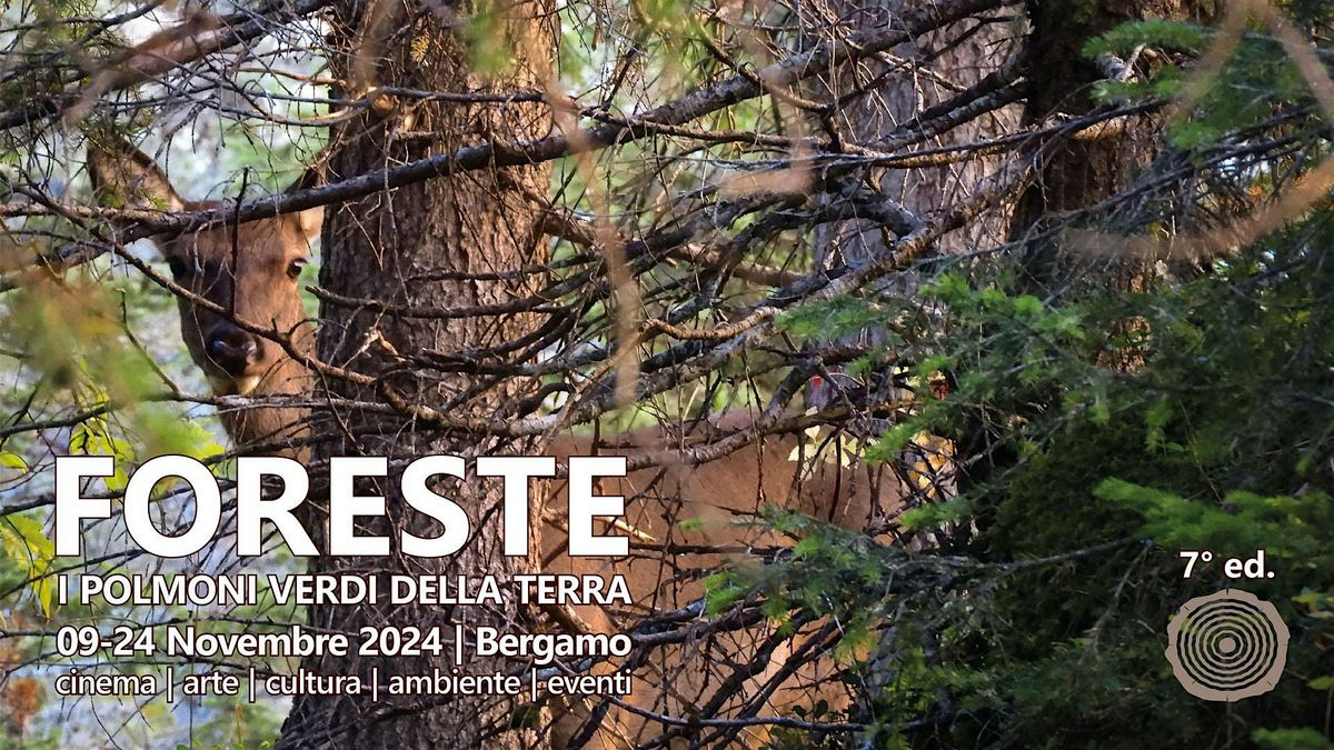 Proiezione di film FESTIVAL DELLE FORESTE 2024