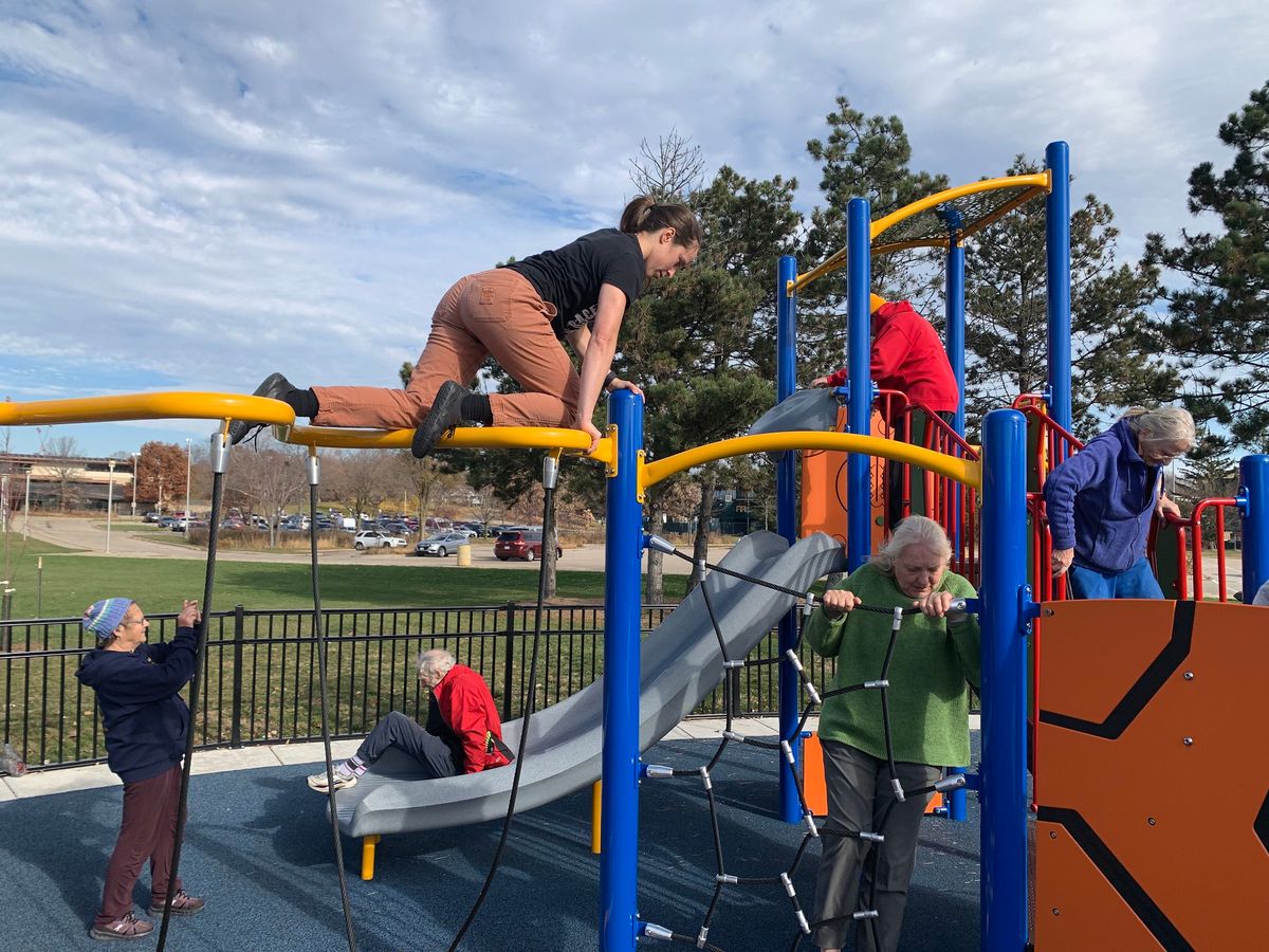 Adult Recess- Frautschi Family Accessible Playground at Warner Park