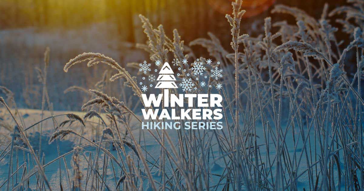 Winter Walkers: Hickory Creek