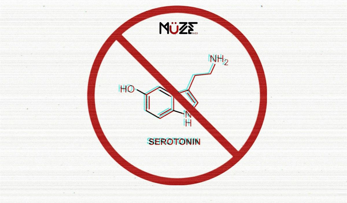 M\u00fcZE- SEROTOnone Rave