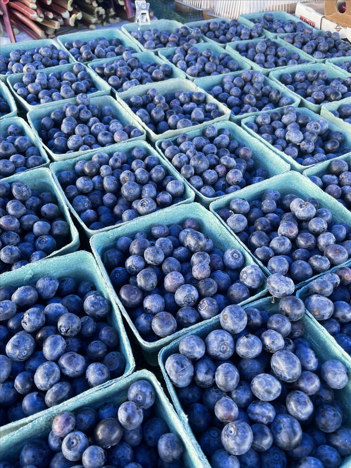 Wayne Farmers Market