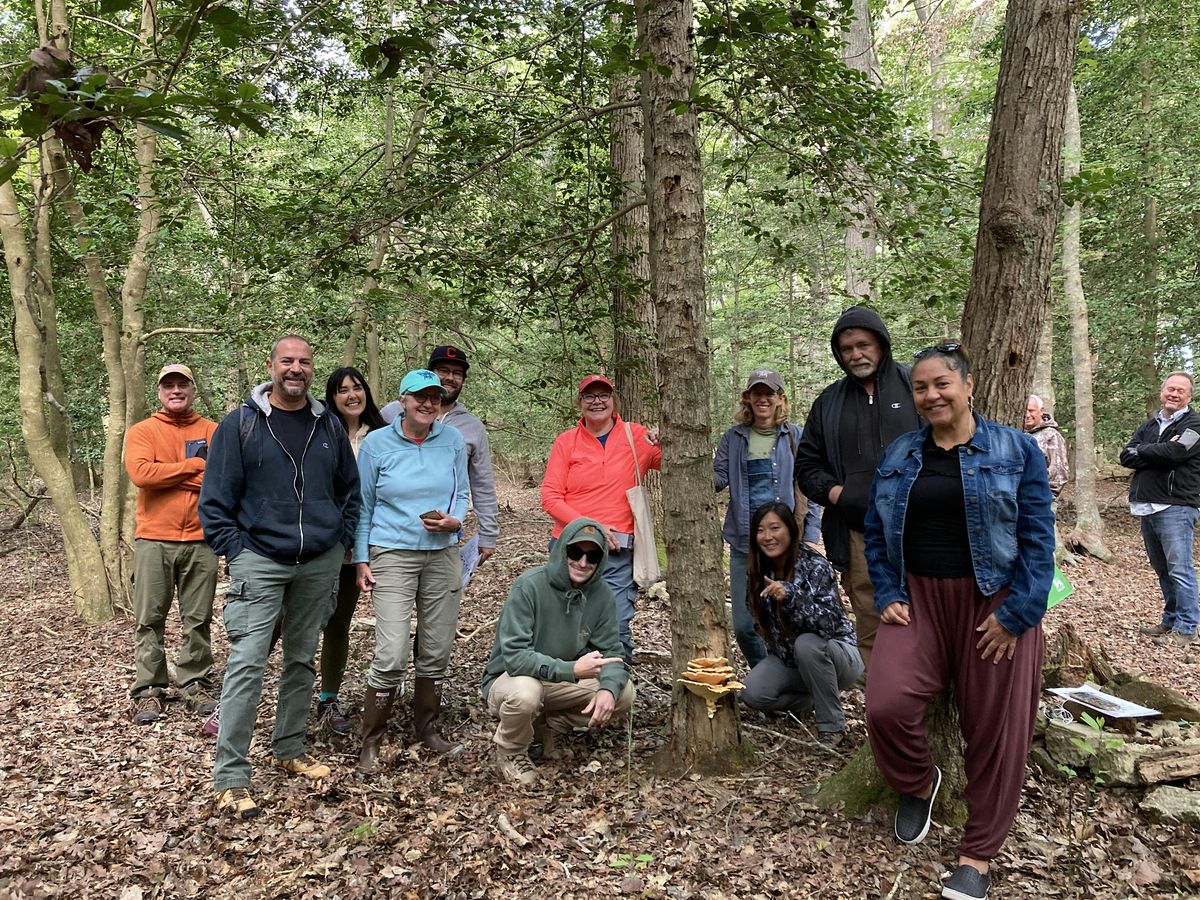 Mushroom 101 and Foraging Class