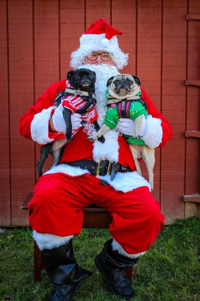 Pictures with Santa and Pugmas Party!