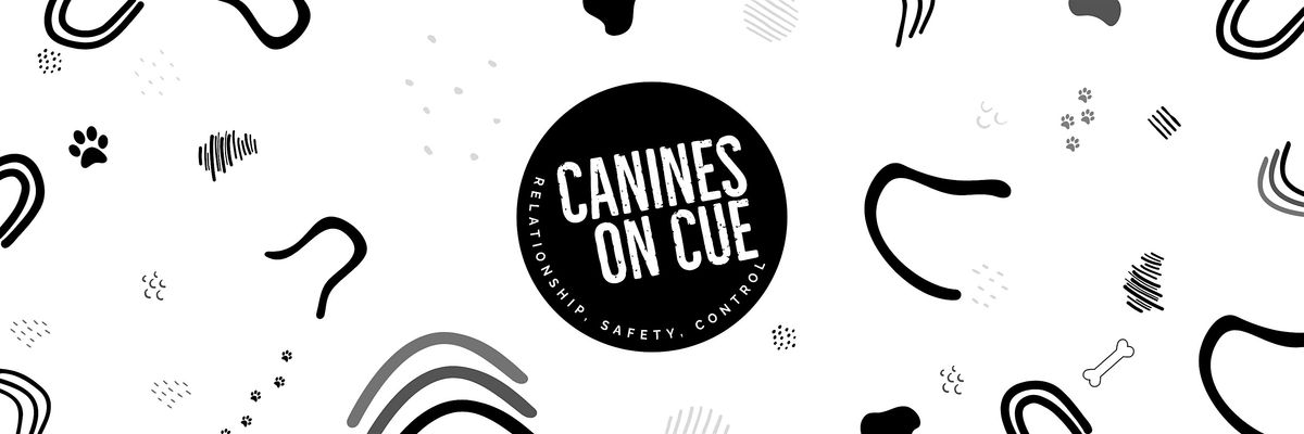 'LEAVE IT' MASTERCLASS By Canines On Cue