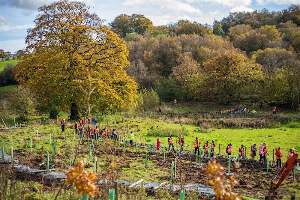 LOFT Tree Planting 2025  | 14th November