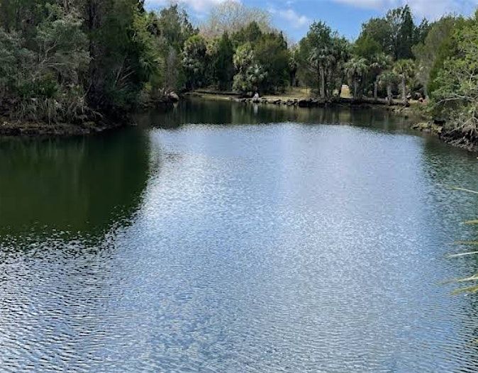 Florida Myst Hikers - Mullet Hole  - 2-3 mile Loop